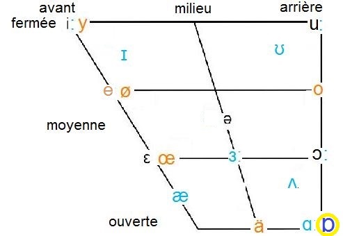 ʌ in vowel chart