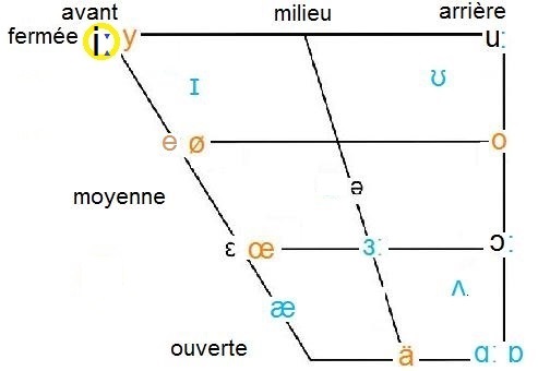 /iː/ in vowel chart