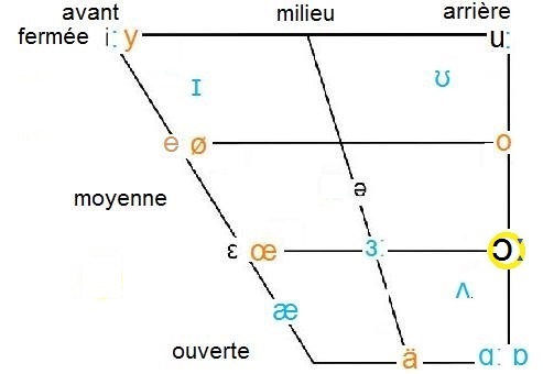 ɔː in vowel chart