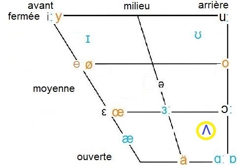 ʌ in vowel chart